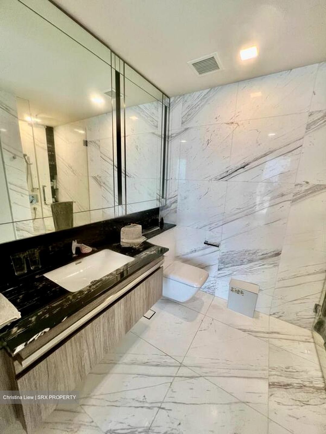 Wallich Residence  (D2), Condominium #465157811